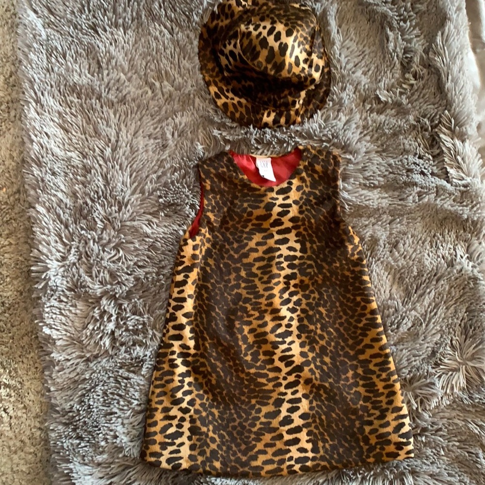 Girls Gap lined tortes dress and hat.  Size 4